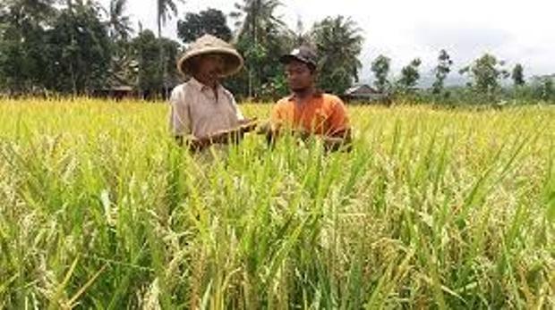 Ada AUTP, Petani Cianjur...