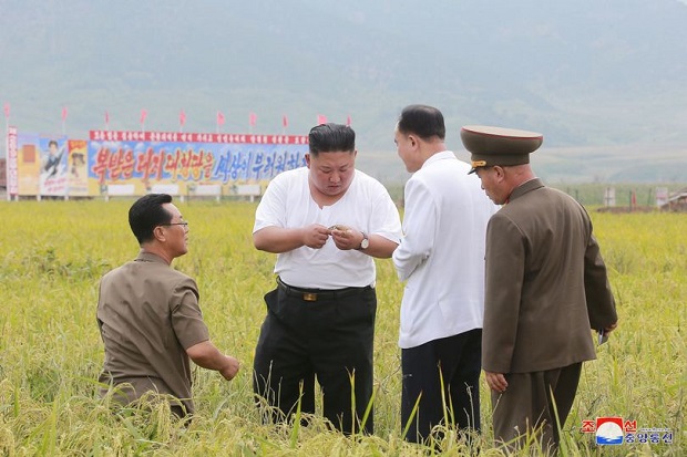 Kritik Ekonomi Kim Jong-un,...
