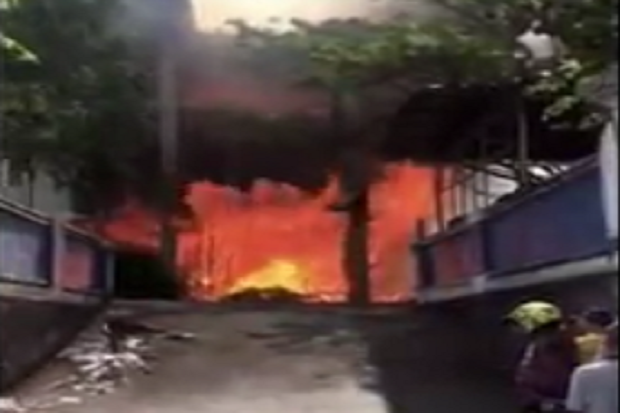 Alami Gangguan Jiwa,...
