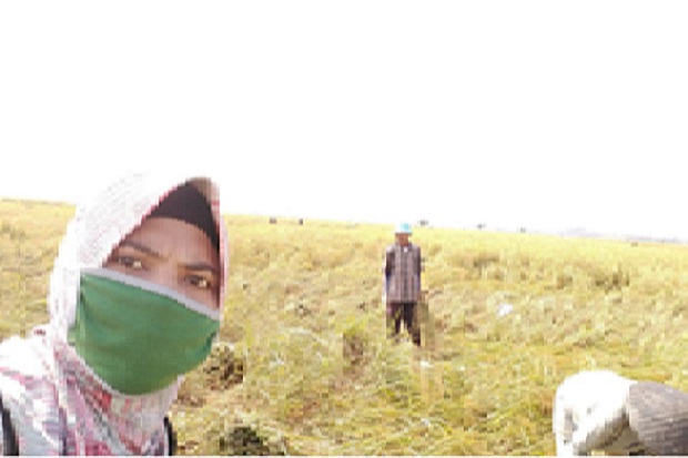 Kementan Lindungi Penerima...