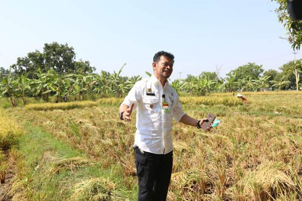 Pembangunan Embung Ditjen...