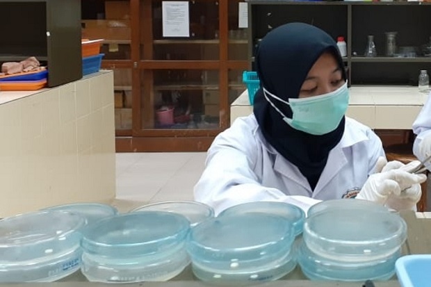 Mahasiswa UNY Teliti...