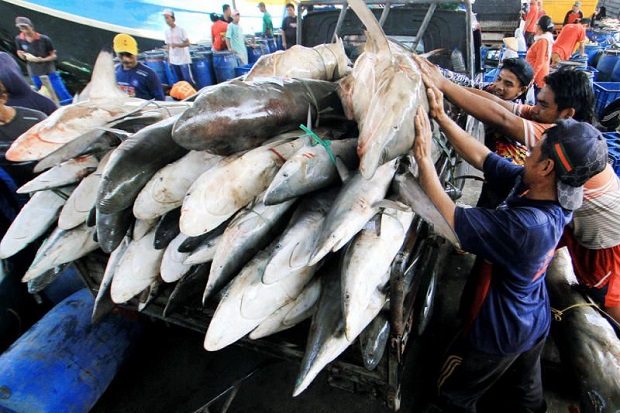 China Larang Impor Produk...