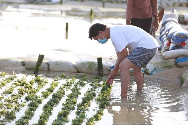 Dukung Petani, Pemkab...