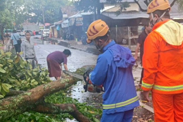 Diterjang Hujan Disertai...