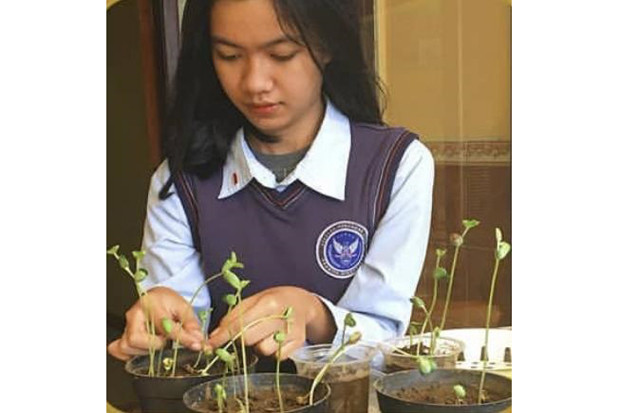 Wujudkan Green School,...