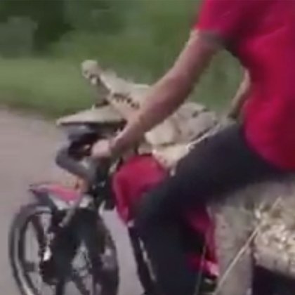 Bukan Video Hoax Apalagi...