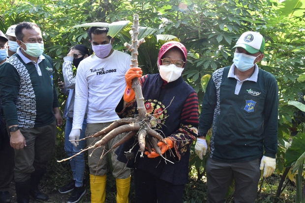 Jurus Wali Kota Risma...