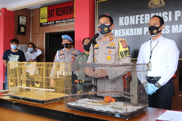 Jual Satwa Dilindungi,...