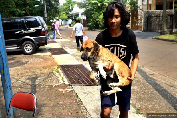 Kemenkes Mencatat Hanya...