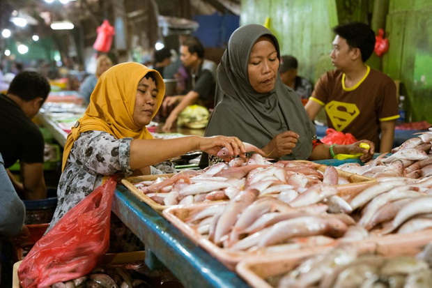 Susut dan Limbah Pangan...