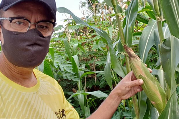 Saleh Husin ke Kebun:...