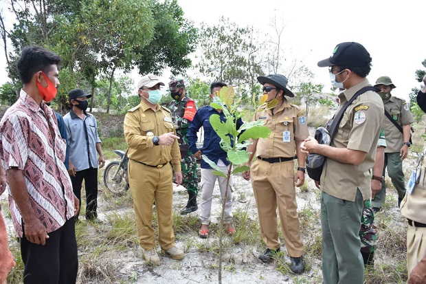 178 Ha Lahan Eks Tambang...