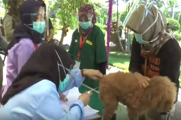 Hari Rabies Sedunia,...