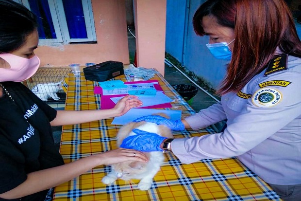 One Health, Sinergi...