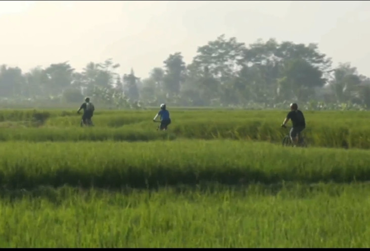 Wisata Bersepeda di...