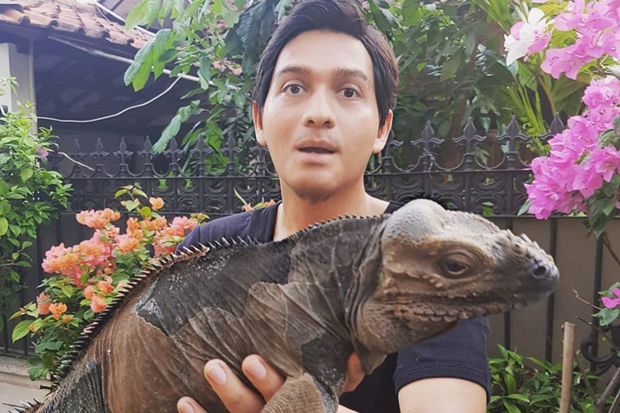 Reptil Bisa Jadi Hobi...