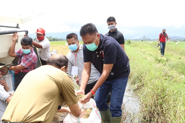 Panen Padi Bersama Petani...