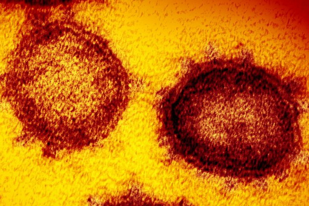 Studi: Jenis Virus Corona...