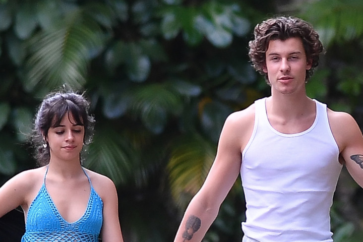 Shawn Mendes Akui Sulit...