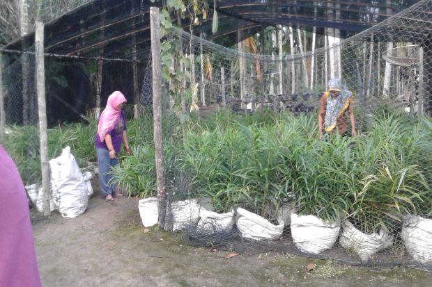 UPPKS Green Family Manfaatkan...