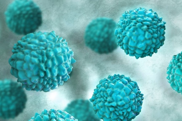 Wabah Norovirus Menyerang...
