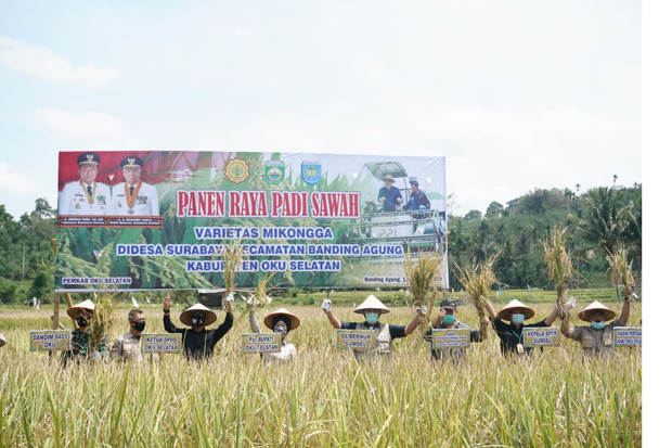 HD Lakukan Panen Raya...