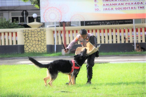 Kapolda Sulut Cek Kemampuan...
