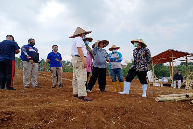 Progres Program Padat...