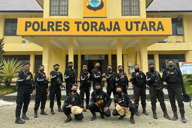 Gerebek Judi Sabung...
