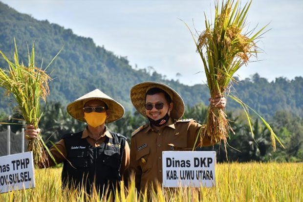 Tak Terpengaruh Corona,...
