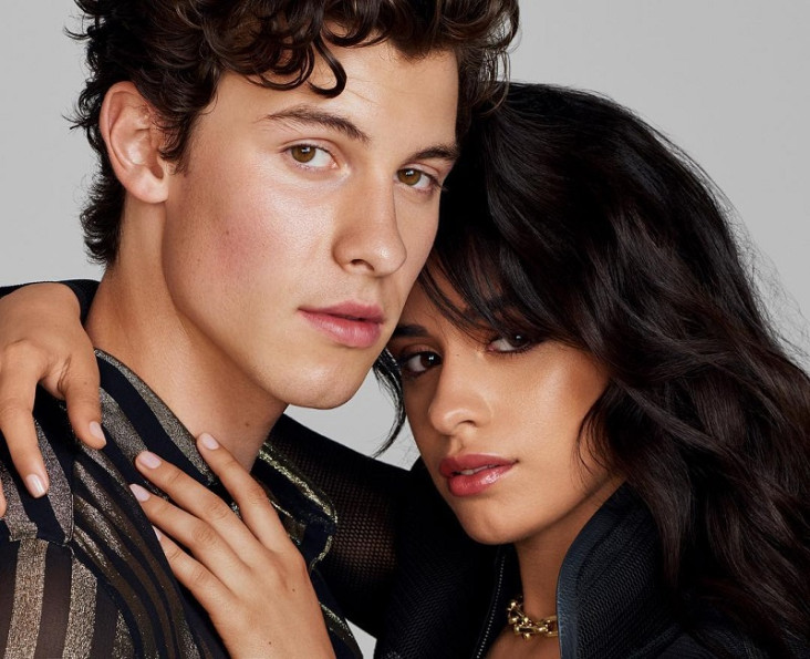 Camila Cabello Potong...