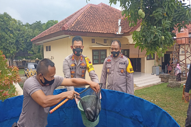 Ketahanan Pangan, Kapolres...