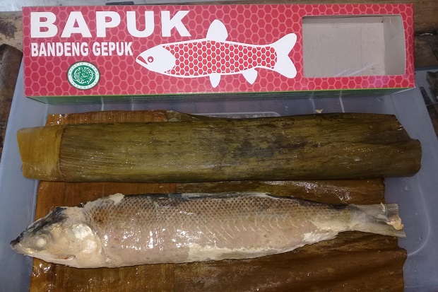 Terdampak COVID-19,...