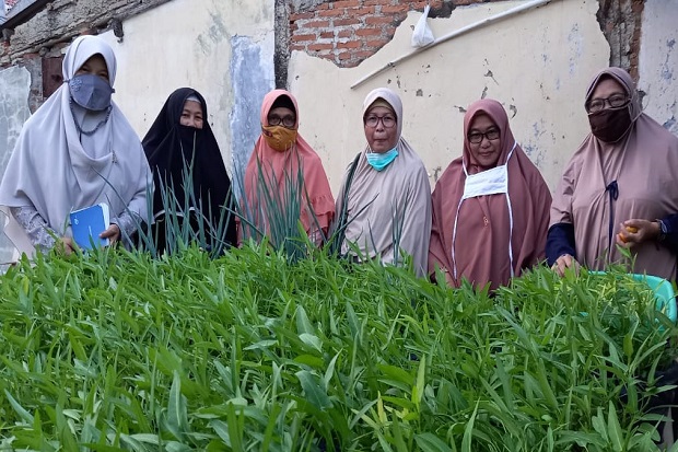 Berkebun Sayuran, Cara...