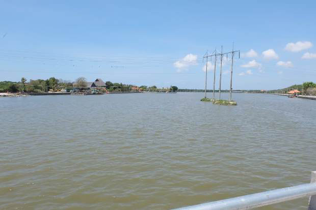 Geliat Waduk Muara Nusa...