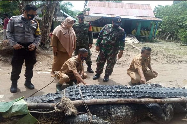 Lagi, Warga Babel Tangkap...