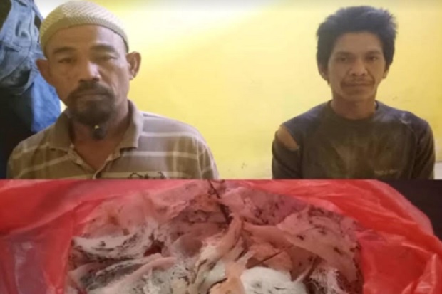 Asyik Manen Sarang Burung...