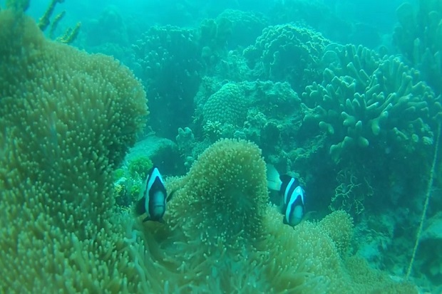 Ketawai, Gugusan Pulau...