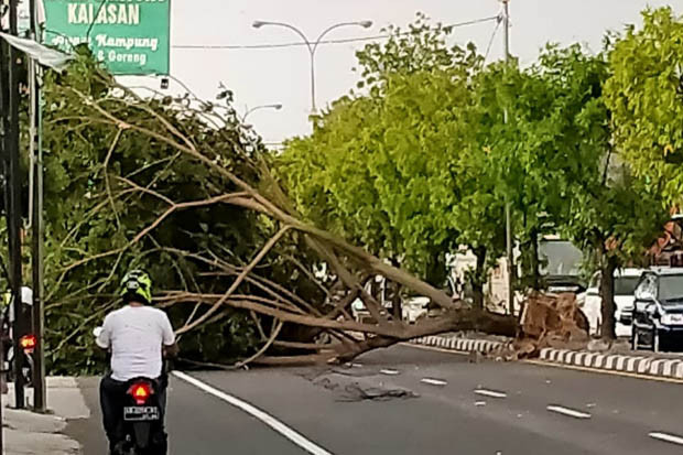 Sleman Dilanda Hujan...