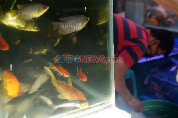 Listrik Padam, Penjual...