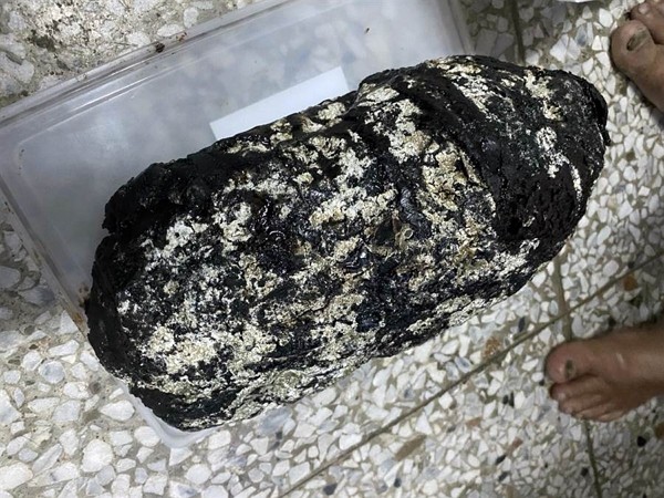 Ambergris, Muntah Paus...