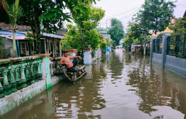 Lahan Terendam Banjir,...