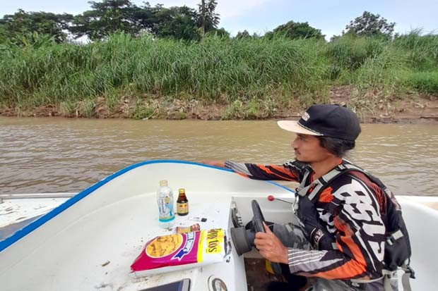 Puluhan Buaya Lepas...