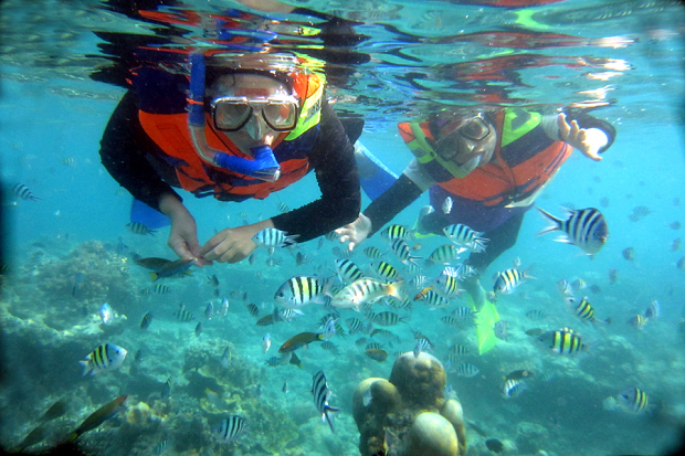 Bangkitkan Wisata Selam,...