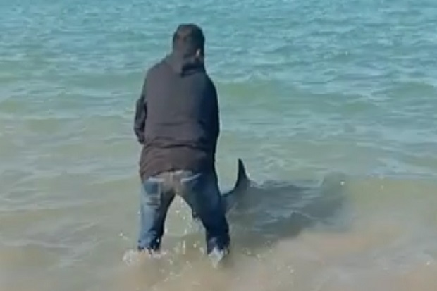 Lagi Liburan di Pantai,...