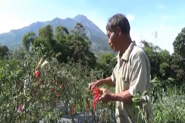 Gunung Merapi Keluarkan...