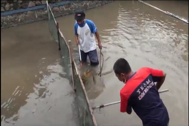 Kerja Keras Warga Mojokerto,...