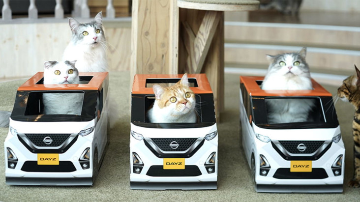 Imut Banget, Nissan...
