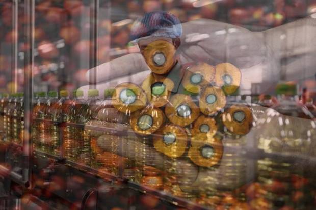 Industri Agro Paling...